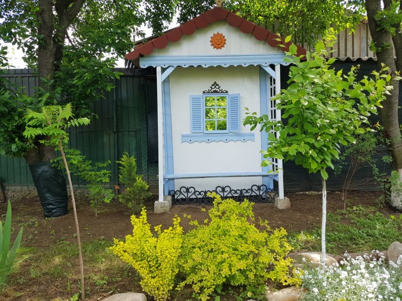  - 2019 Oglinzi in gradina