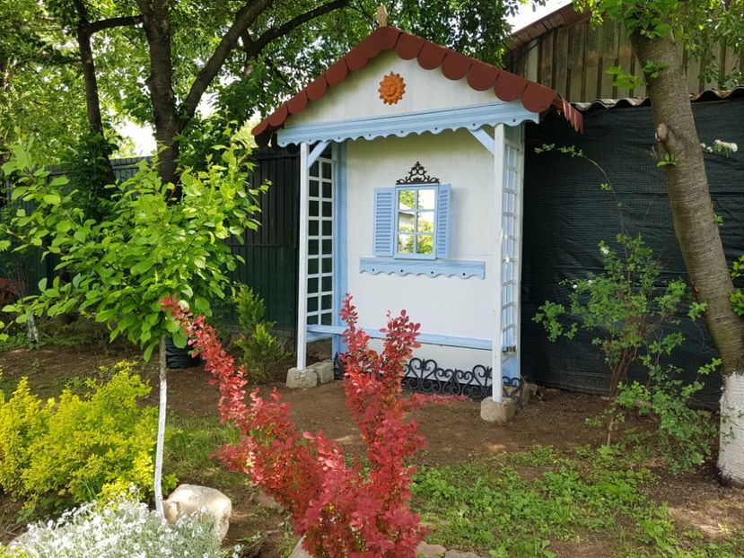  - 2019 Oglinzi in gradina