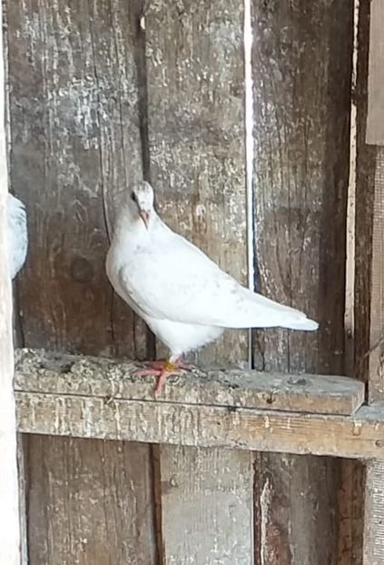  - Mai 2019