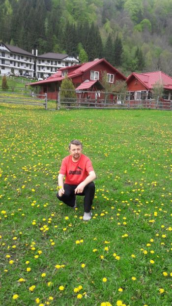  - Mai 2019 munte