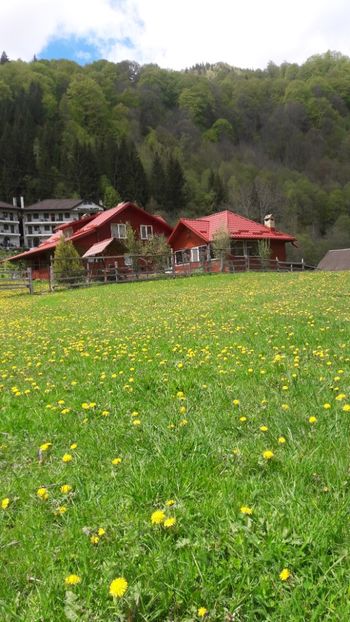  - Mai 2019 munte