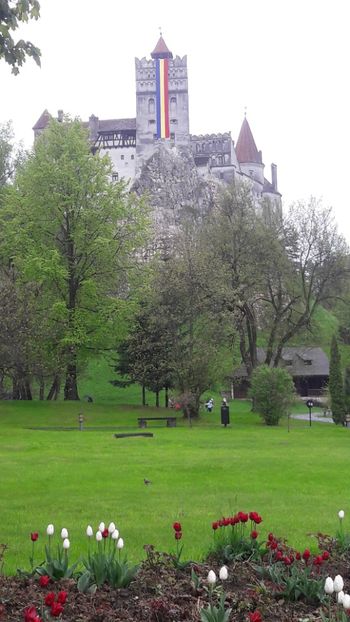  - Mai 2019 munte