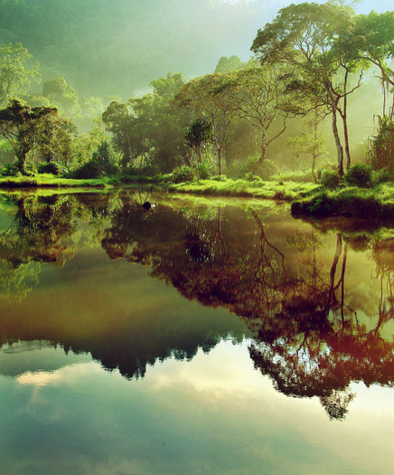 Good_morning_Situ_Gunung_II_by_juhe - favorites