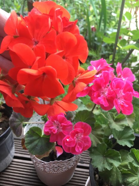 39D8E7E6-6EFD-4CCC-AE54-9AB3F7FD63BA - 2019