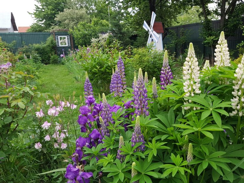  - 2019 Mai Idilic Garden