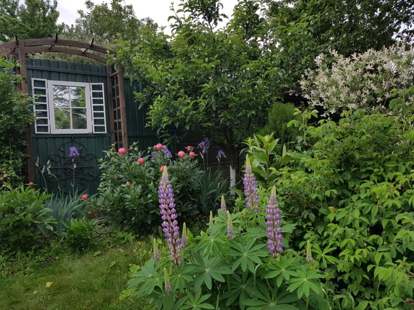  - 2019 Mai Idilic Garden