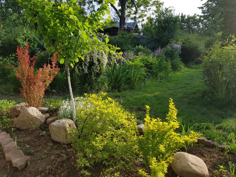  - 2019 Mai Idilic Garden
