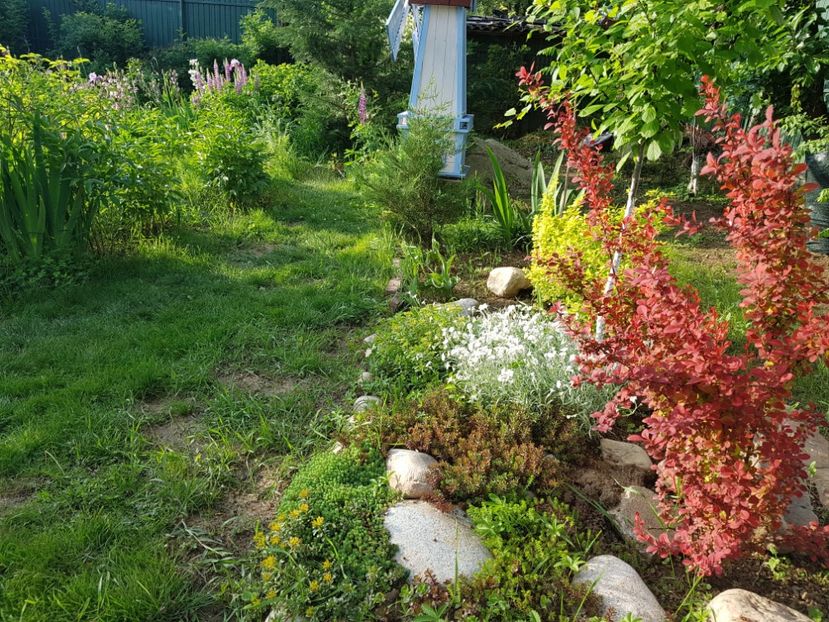  - 2019 Mai Idilic Garden
