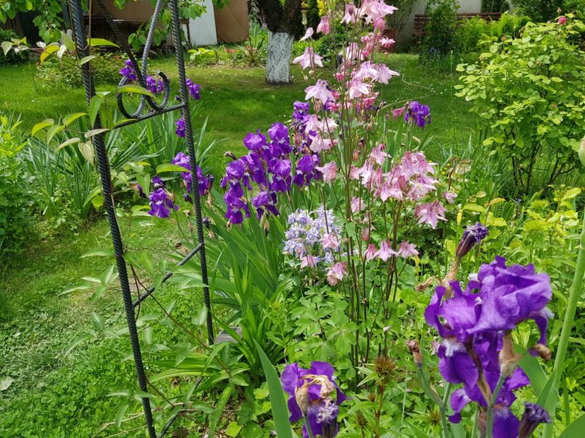  - 2019 Mai Idilic Garden