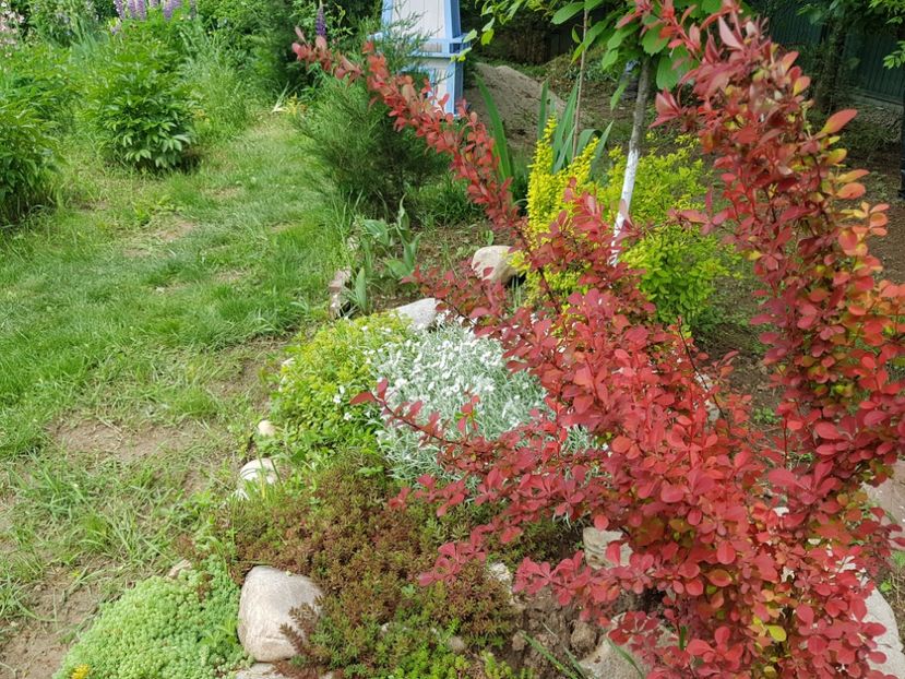  - 2019 Mai Idilic Garden