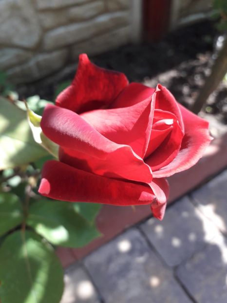 - MAi 2019
