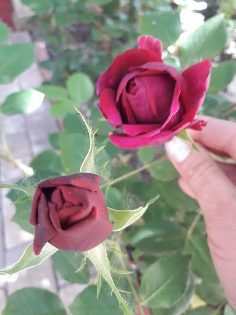  - MAi 2019