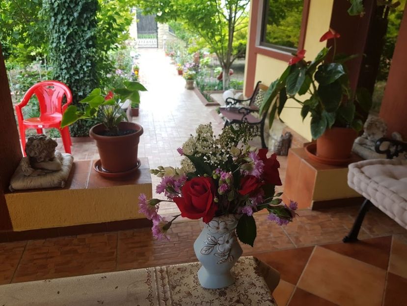  - U-GRADINA MEA