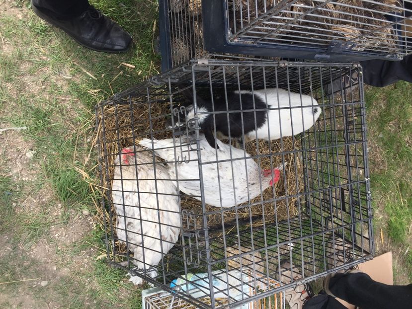 1301BA31-DE20-47CF-BE6F-72552000B97E - X - Monor