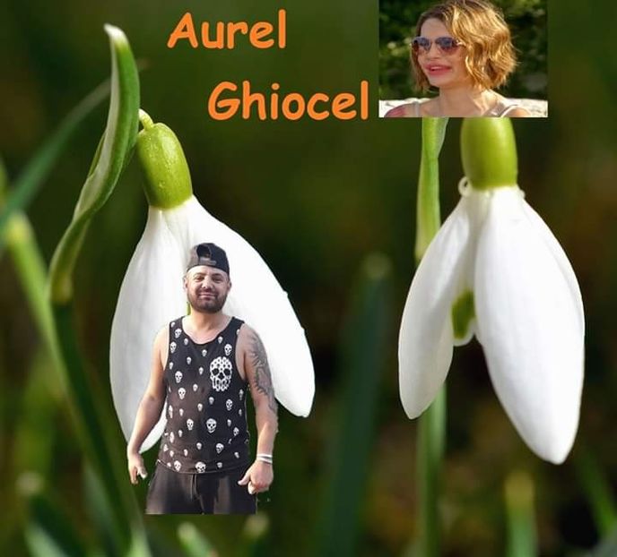  - Sezonul 5 insula iubirii - memes 1