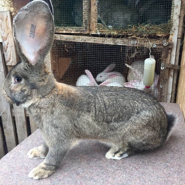 EAD4440A-C86F-431E-B12A-FCC938C74232 - RO 8-128189