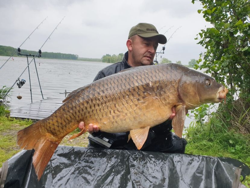 Haromfa mai 2019 - Capturi-pesti