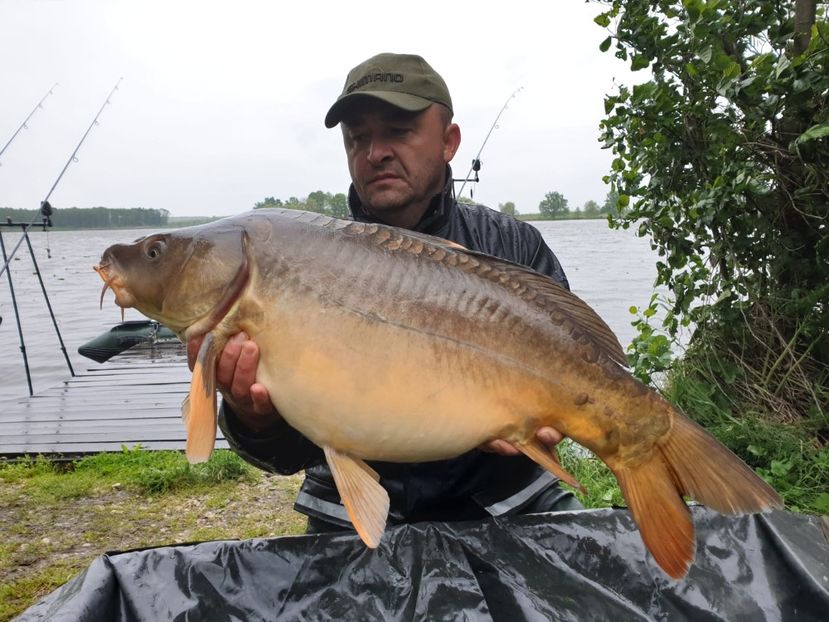 Haromfa mai 2019 - Capturi-pesti