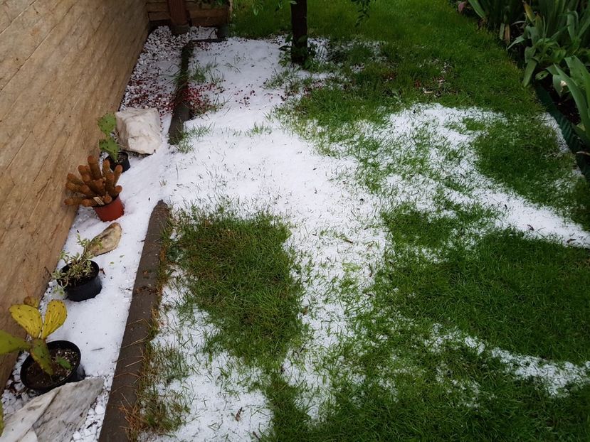 Iarna din luna mai! Tocmai ma bucuram ca au avut ceva soare azi! :/ - Mai 2019