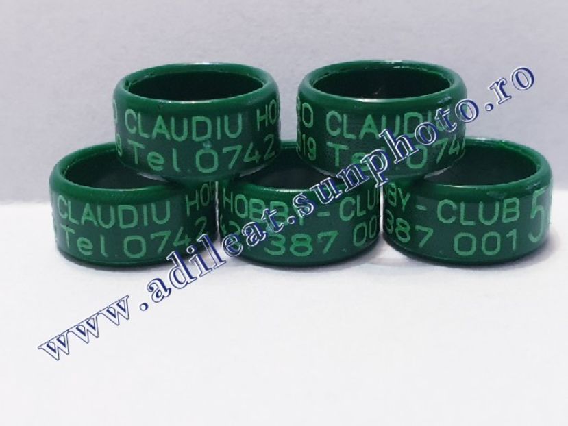 TextArt_190515201956 - 1-A-INELE PERSONALIZATE 2019