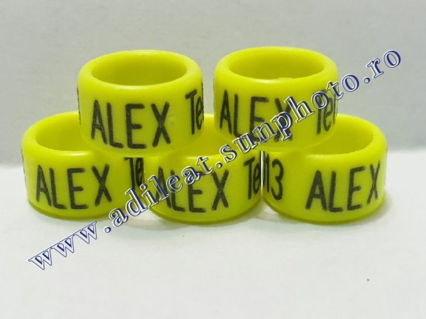 TextArt_190515201847 - 1-A-INELE PERSONALIZATE 2019