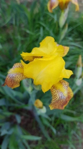 received_377263802920361 - Primavara 2019