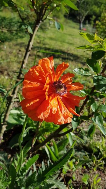 received_1160710020776072 - Primavara 2019