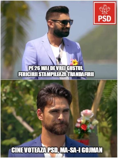 - Sezonul 5 insula iubirii - memes 1