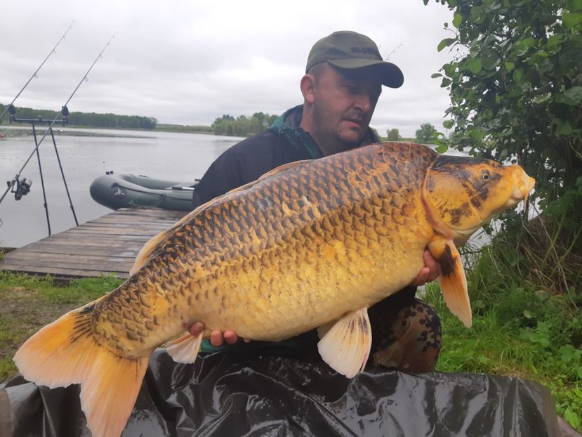 Haromfa mai 2019 - Capturi-pesti