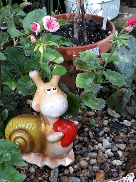  - Luna Mai in grădina mea 2019