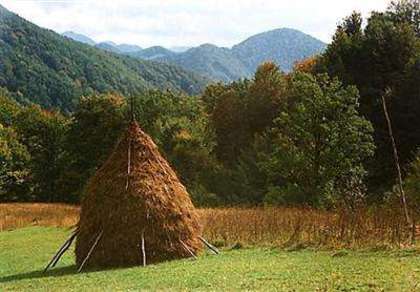 Peisaj Bucovina - a - Poze Bucovina cai