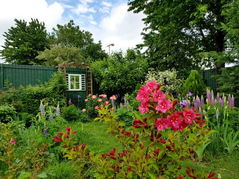  - 2019 Mai Idilic Garden