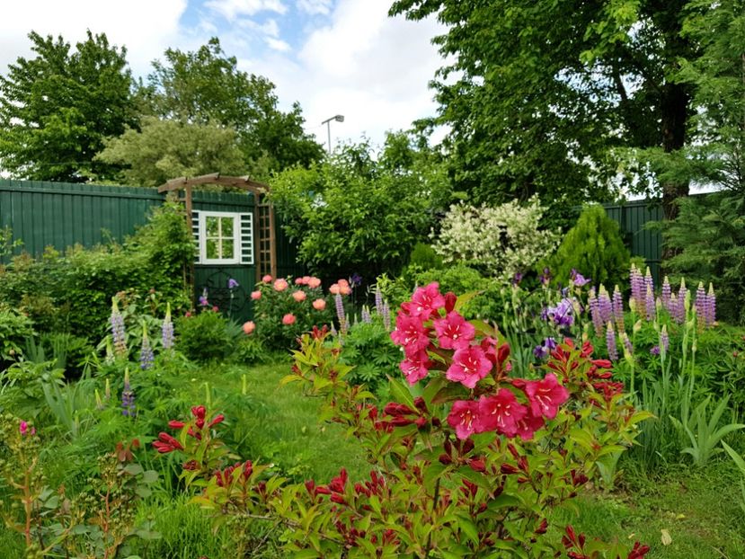  - 2019 Mai Idilic Garden