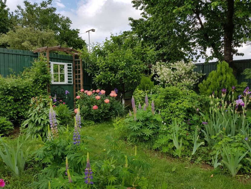 - 2019 Mai Idilic Garden