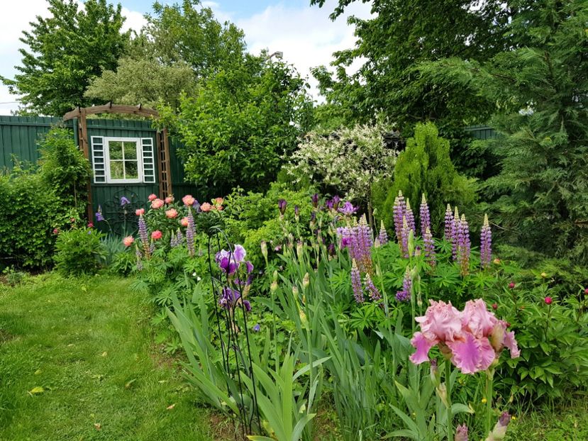  - 2019 Mai Idilic Garden