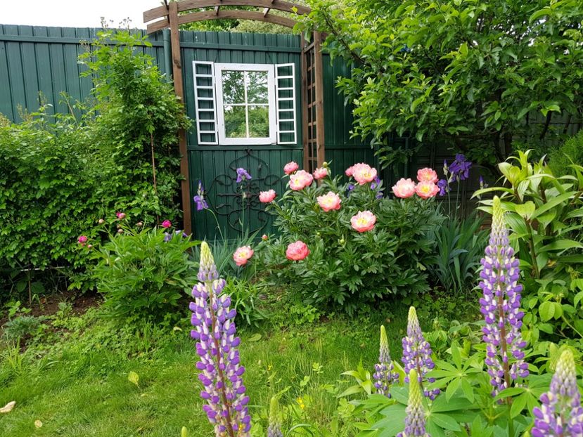  - 2019 Mai Idilic Garden