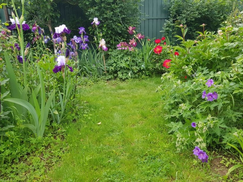  - 2019 Mai Idilic Garden