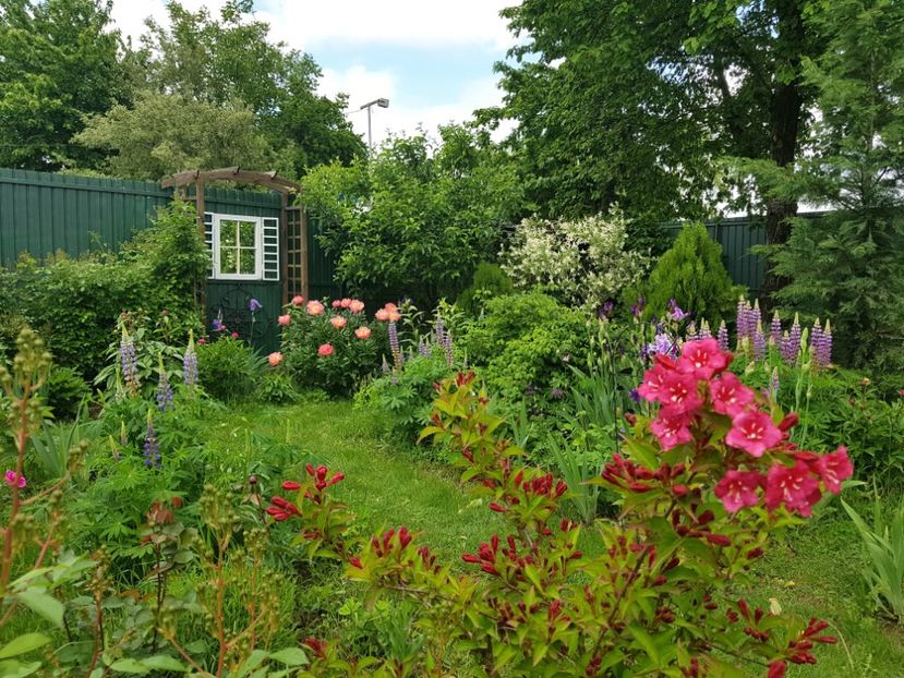  - 2019 Mai Idilic Garden