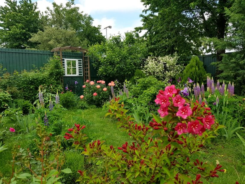  - 2019 Mai Idilic Garden