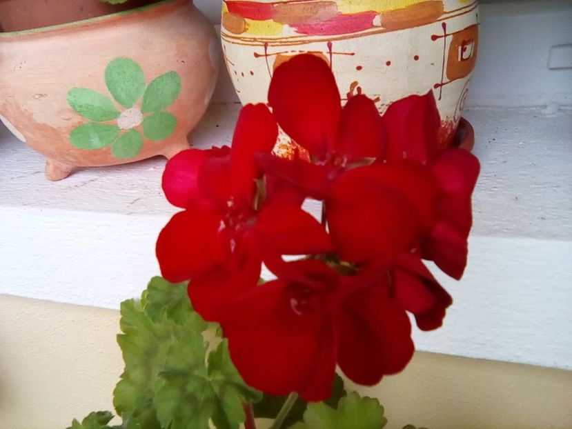  - Frumuseti la casa parinteasca