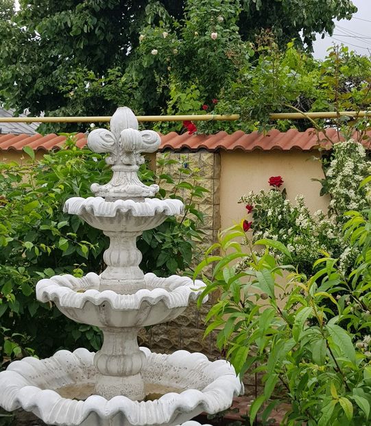  - U-GRADINA MEA
