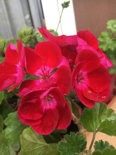 34BEED72-339D-456F-9D24-0630BCF66131 - 2019