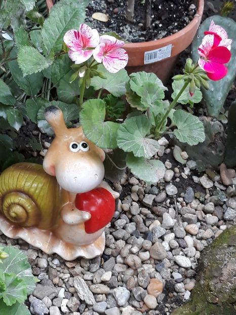  - Luna Mai in grădina mea 2019