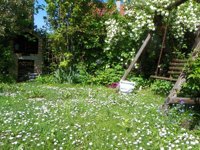 15 mai (111) - Gradina 2019