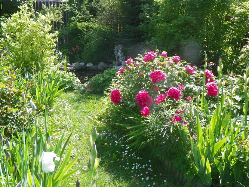 15 mai (113) - Gradina 2019