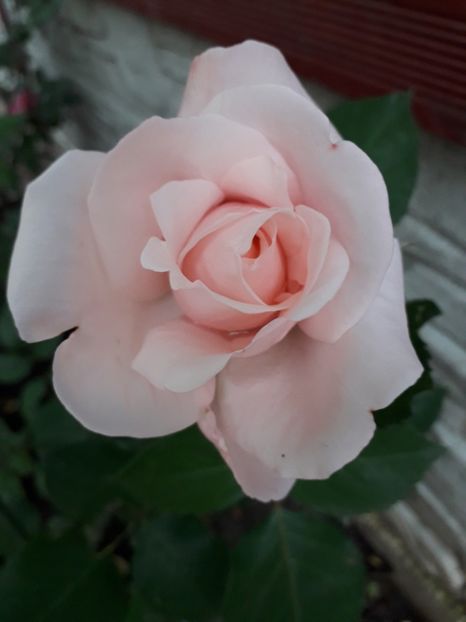  - MAi 2019