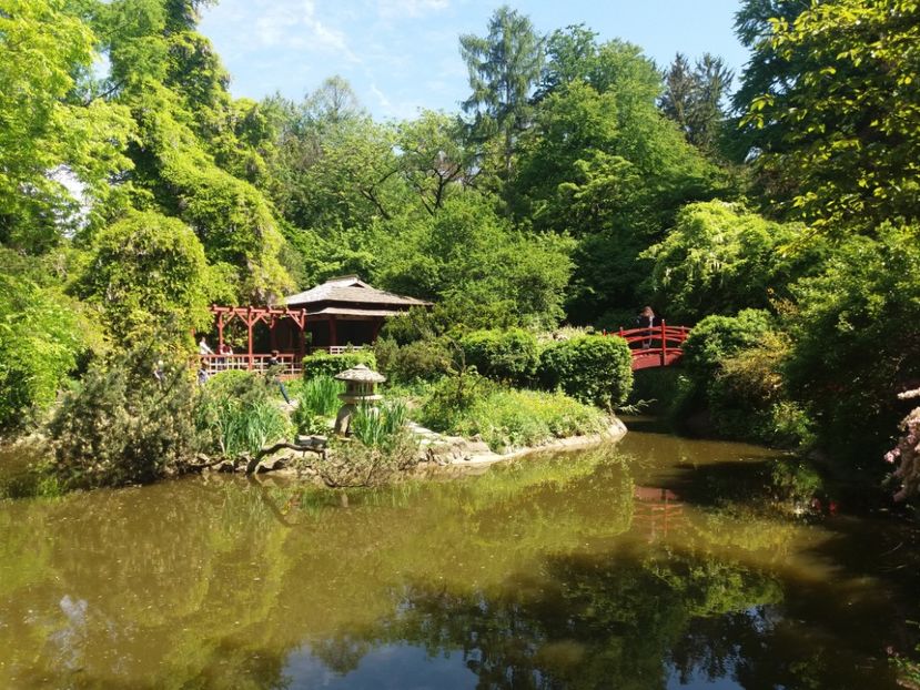 - Cluj Gradina botanica