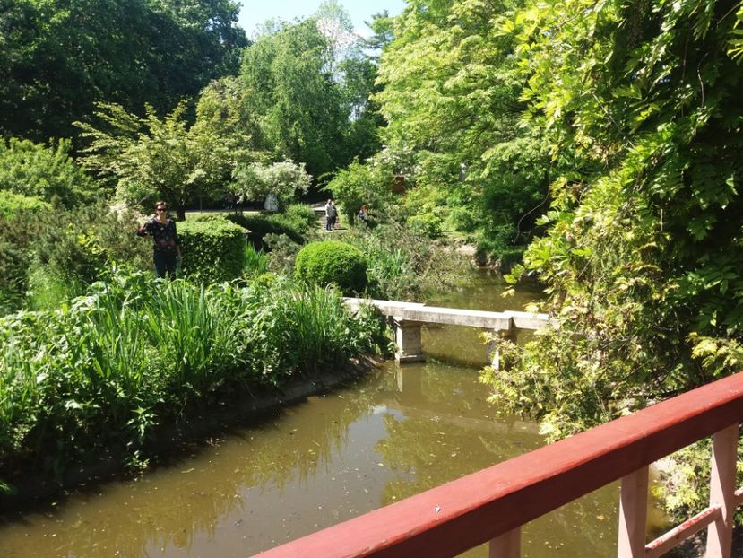  - Cluj Gradina botanica