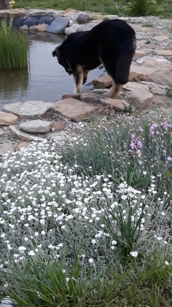  - Primavara 2019-2022