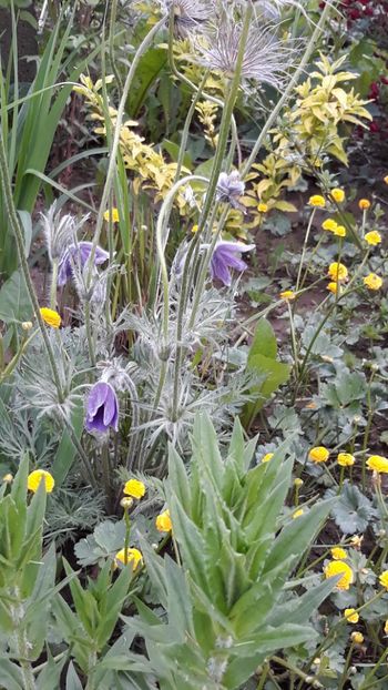  - Primavara 2019-2022